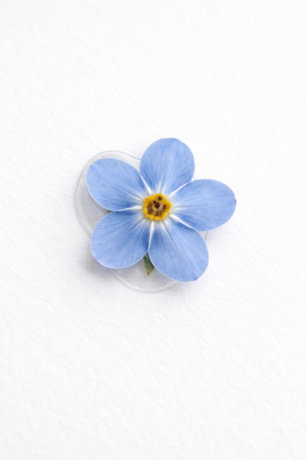 Real Forget-Me-Not Flower Add-On - Image 2