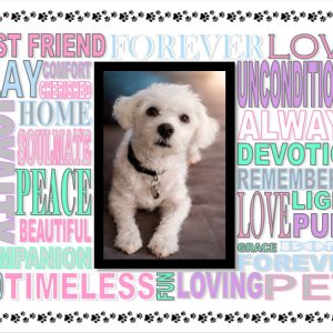 The Word Collage Frame (Custom)