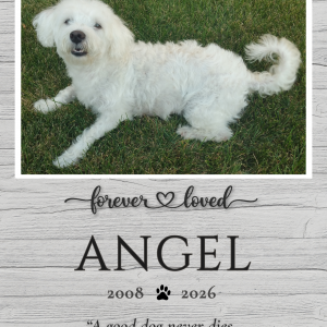 "Forever Loved" Rustic Wood Custom Keepsake