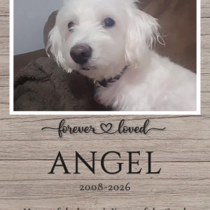 "Rustic Woodgrain Memorial" Custom Keepsake