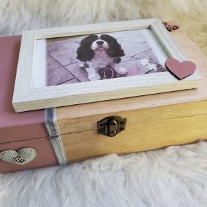  The Best Friends Box (Custom)