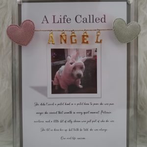 "A Life Called..." Personalized Tribute Frame