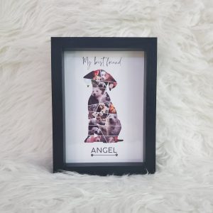 "The Best Friend Collage" Custom Keepsake (Dog or Cat Design)