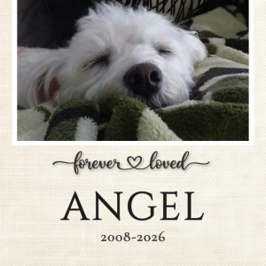 "Linen & Canvas Memorial" Custom Keepsake