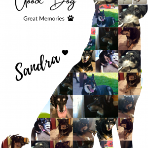 "Breed Silhouette Collage" Custom Keepsake
