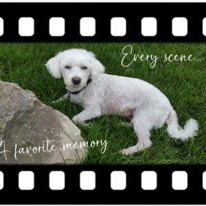 "The Filmstrip Memory" Custom Keepsake