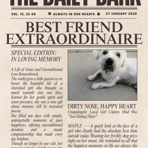 "The Daily Bark" Newspaper Edition Custom Keepsake