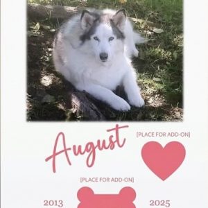 "August’s Heart & Bone" Custom Keepsake