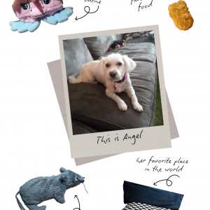 "Their Favorite Things" Custom Keepsake