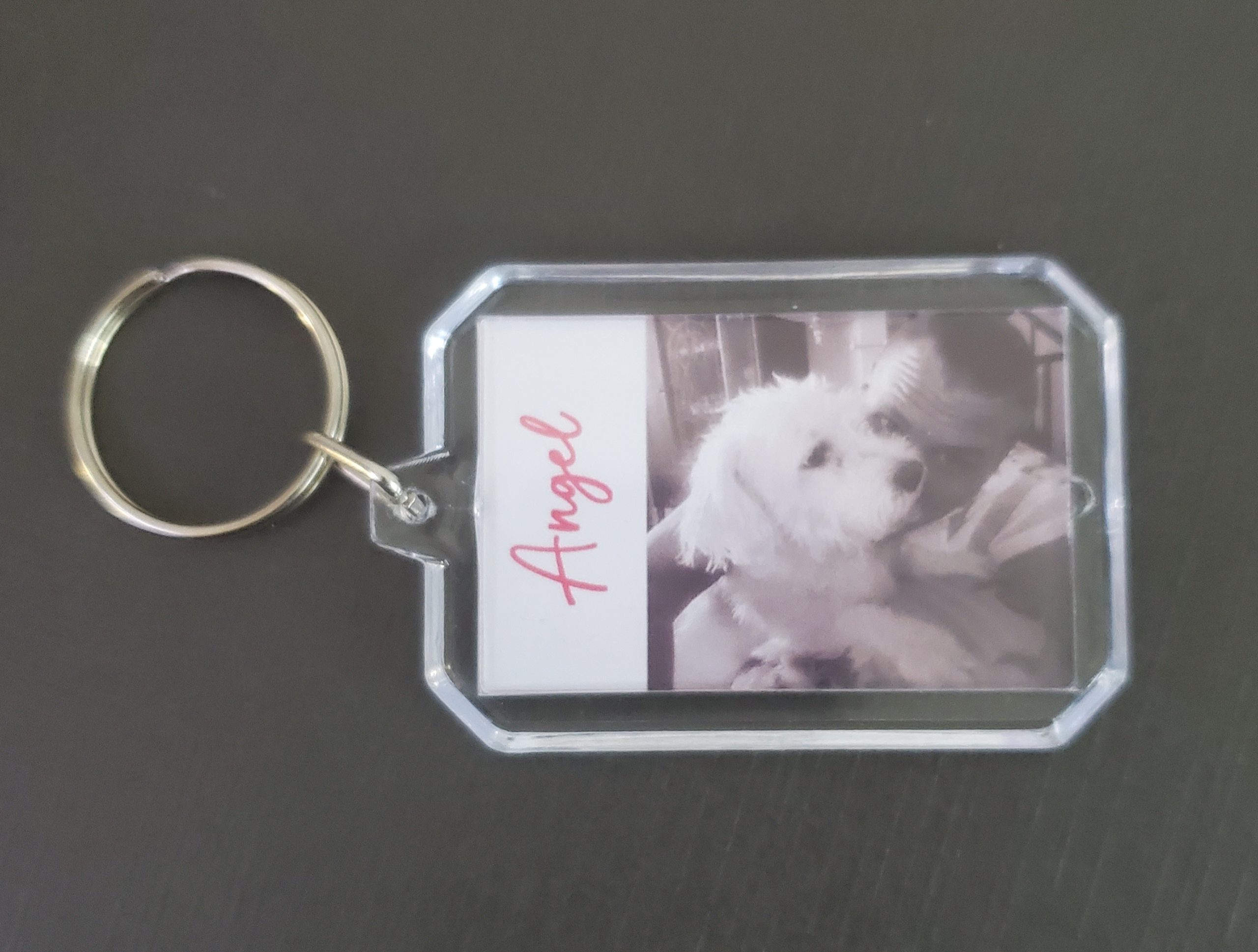 Double-Sided Acrylic Pet Keychain Collection - Image 2